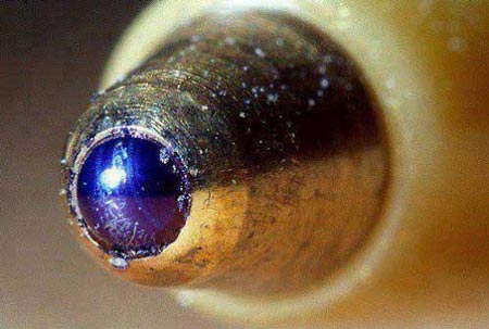 سوژه های طنز و بسیار خنده دار خارجی (1)