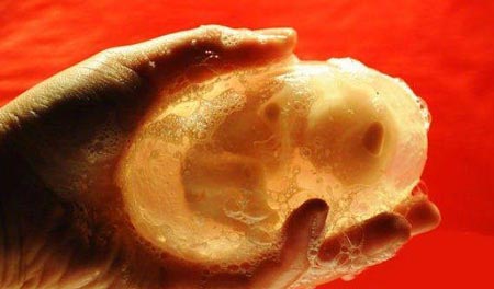 ساخت صابون جنین در کیسه ی آب! + (عکس)