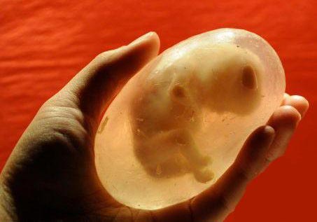 ساخت صابون جنین در کیسه ی آب! + (عکس)