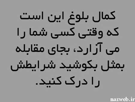 جملات و عکس نوشته های الهام بخش برای زندگی (7)