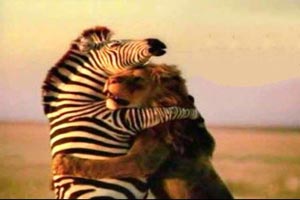 مواظب باشید این گونه حیوان صفت نشوید! + عکس
