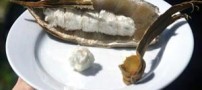 تا حالا باقلا بستنی خورده اید؟!! (تصویری)