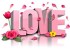 با تو قدم زدن را دوست دارم (عاشقانه)