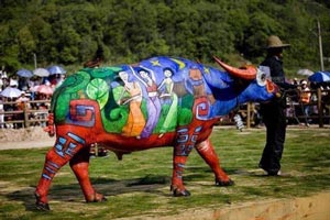 مسابقه دیدنی و جالب رنگ و نقاشی کردن بوفالوها در چین! + تصاویر