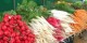روش های ضد عفونی کردن سبزیجات