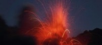 عکس هایی ترسناک از جنگ زمین با طبیعت!