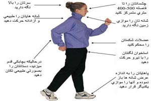 بهترین ورزش برای کم کردن دور کمر بهترین ورزش برای کم کردن دور کمر