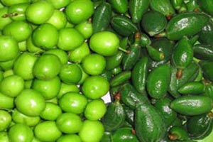 نکته های بسیار مهم در خوردن نوبرانه های بهار و تابستان نکته های بسیار مهم در خوردن نوبرانه های بهار و تابستان