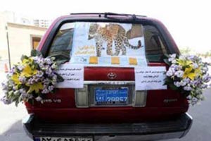 متفاوت و جالب ترین ماشین عروس در ایران + (تصاویر) متفاوت و جالب ترین ماشین عروس در ایران + (تصاویر)