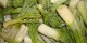 طرز تهیه ی ترشی زو