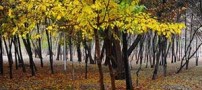 دیدنی ها و گشت و گذار 1 روزه در اصفهان + تصاویر
