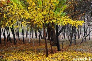 دیدنی ها و گشت و گذار 1 روزه در اصفهان + تصاویر دیدنی ها و گشت و گذار 1 روزه در اصفهان + تصاویر