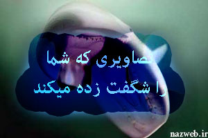 تصاویر جذاب وبسیاردیدنی سری چهل و دوم تصاویر جذاب وبسیاردیدنی سری چهل و دوم