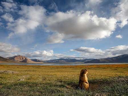 عکس های دیدنی و بسیارجذاب (39)