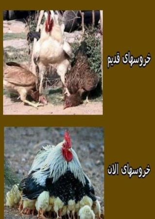 مجموعه عکس نوشته های باحال و خنده دار
