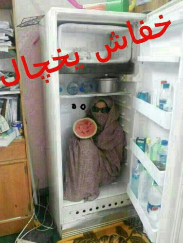 عکس وترول های بسیار خنده دار (فقط بخند) (10)