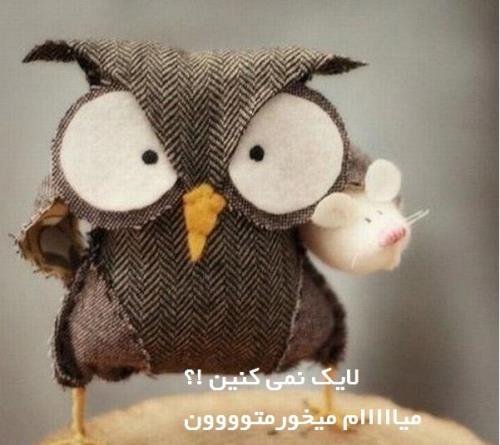 عکس وترول های بسیار خنده دار (فقط بخند) (10)