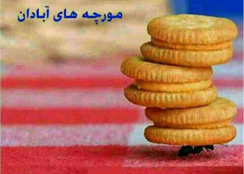 عکس وترول های بسیار خنده دار (فقط بخند) (10)