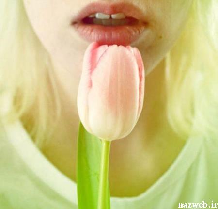 تصاویر گلچین شده و عاشقانه پس زمینه کامپیوتر و موبایل