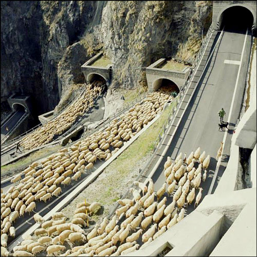 عکس های عجیب و دیدنی اما واقعی!