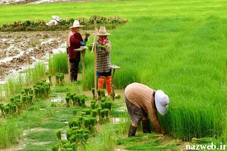 تصاویر جذاب وبسیاردیدنی سری چهل و دوم