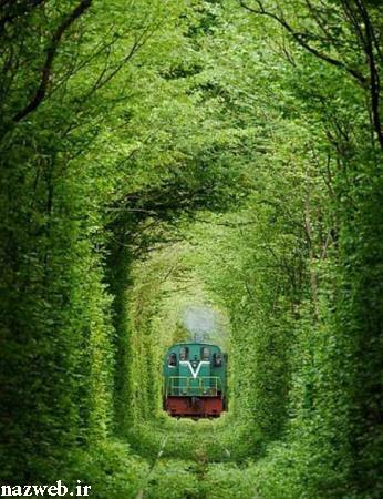 شما همه به تماشای زیبایی دعوت شدید