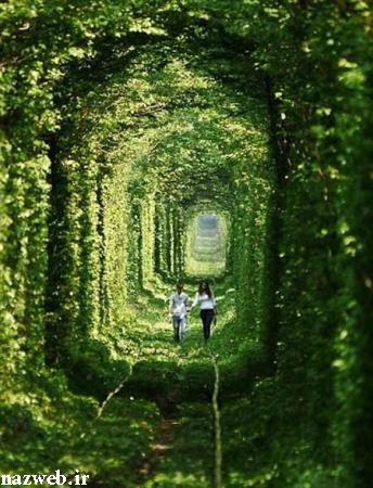 شما همه به تماشای زیبایی دعوت شدید