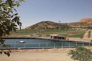 مقبره عون بن علی در تبریز (گردشگری) + تصاویر مقبره عون بن علی در تبریز (گردشگری) + تصاویر