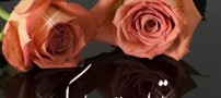 پیامک و اس ام اس تولد (2)