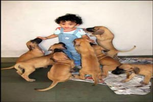عکس های عجیب و دیدنی اما واقعی!