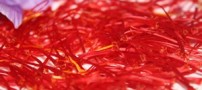 راه های تشخیص زعفران اصلی و خواص آن