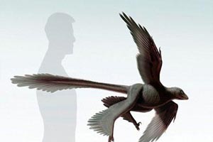 ترسناک ترین اسکلت دنیا کشف شد! + عکس ترسناک ترین اسکلت دنیا کشف شد! + عکس
