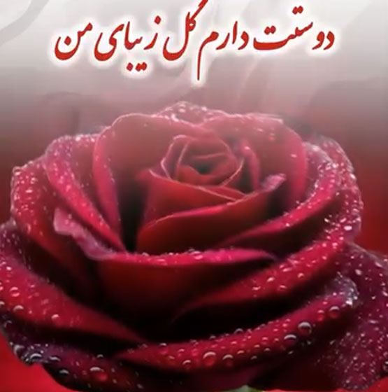 زیباترین اس ام اس و پیامک‌های عاشقانه با محور سکوت