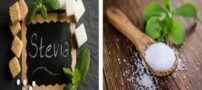 گیاهی که شما را لاغر و خوش اندام می کند