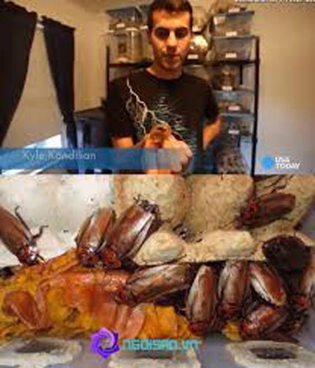 سرگرمی بسیارغیر معمول پسر 20 ساله + عکس