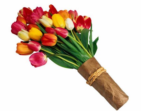 گالری زیباترین گل های طبیعت