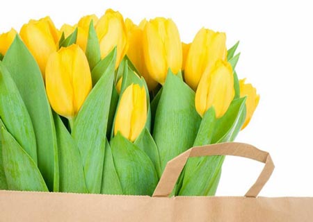گالری زیباترین گل های طبیعت