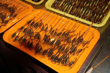محبوب ترین غذاهای منفور دنیا! + تصاویر
