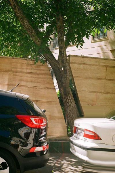 دیواری جالب و دیدنی در نیاوران (تصویری)