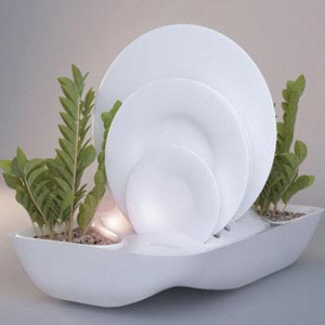 ایده های جالب برای طراحی گل و گلدان در خانه