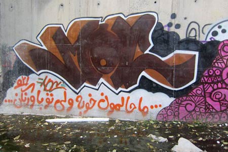 نقاشی های اعتراض آمیز بر دیوارهای تهران (تصویری)