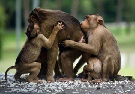 عکس های دیدنی و عجیب از دنیای حیوانات