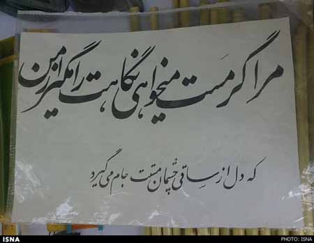 مردی که از دنیا و آدم هاش دل برید! + تصاویر 