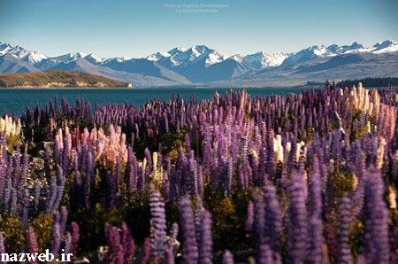 زیبا و خیره کننده ترین دریاچه های دنیا + تصاویر