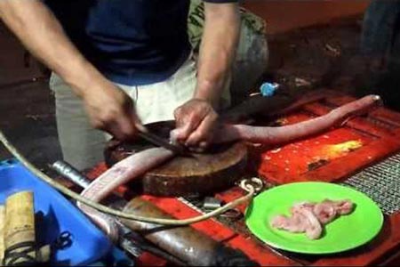 ماری که هنگام پخته شدن آشپز را کشت!! + تصاویر
