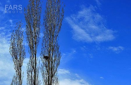 طبیعت بکر و دیدنی دماوند