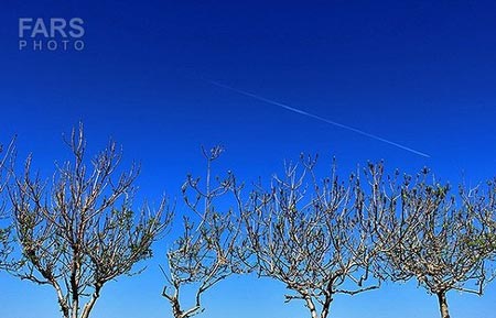 طبیعت بکر و دیدنی دماوند