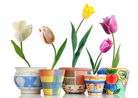 گالری زیباترین گل های طبیعت