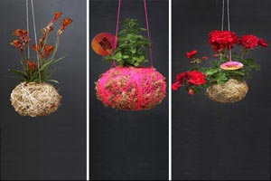 ایده های جالب برای طراحی گل و گلدان در خانه