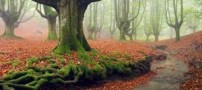 پارک جادویی و اعجاب انگیز در اسپانیا + (تصاویر)
